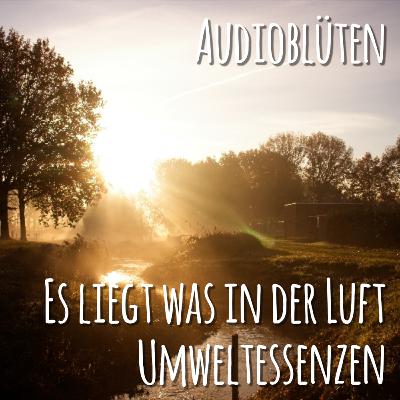 Es liegt was in der Luft - Umweltessenzen für eine gute Atmosphäre