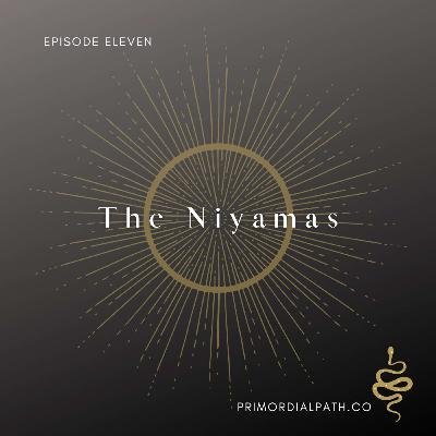 The 8 Limbs: The Niyamas