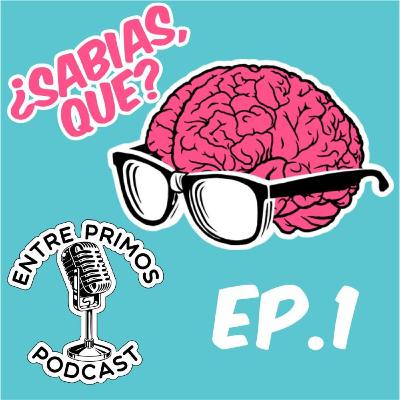 E1 ¿SABÍAS QUÉ? (CURIOSAURIO) CON FILI Y JES