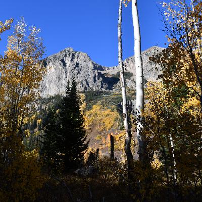 Episode 392 (ft: David Bernabo)