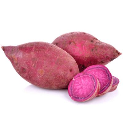 Beneficios del Camote I Parte-Salud y Bienestar|Producción Radiofónica 🎙 Beneficios del Camote I Parte-Salud y Bienestar|Producción Radiofónica 🎙