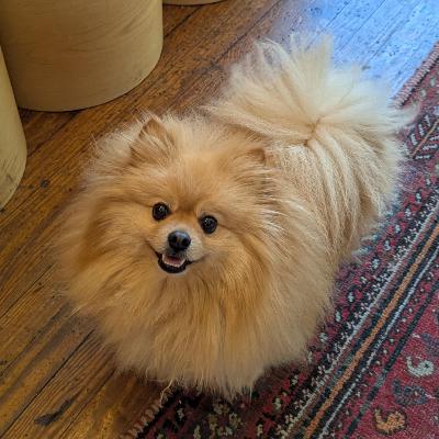 Happy Hour 3 Happy Hour 3