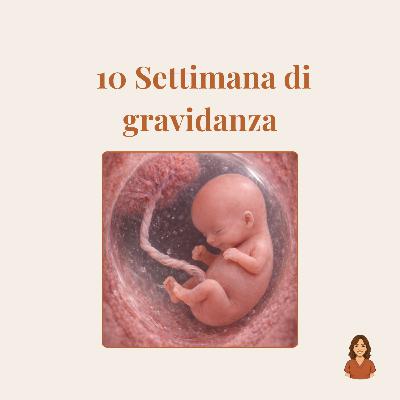 10ª settimana di gravidanza: sviluppo del bambino, sintomi e cosa aspettarsi 10ª settimana di gravidanza: sviluppo del bambino, sintomi e cosa aspettarsi