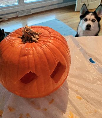 😶Being Comfortable With The Uncomfortable Changes😶🌫️ 😶Being Comfortable With The Uncomfortable Changes😶🌫️