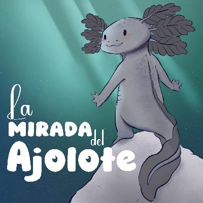 La mirada del ajolote