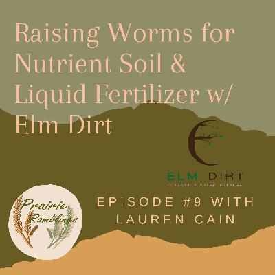 Raising Worms for Soil and Liquid Fertilizer w/ Elm Dirt