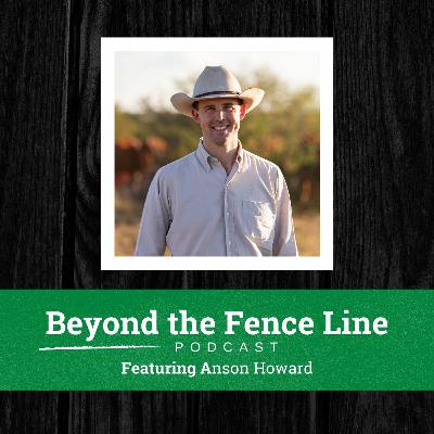 Episode 22 - Are carbon markets right for you?