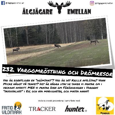 232. Vargomröstning & Drömresor