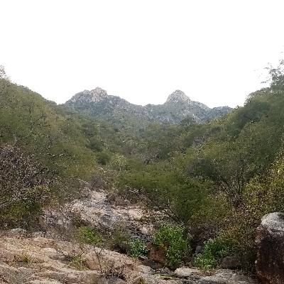 Episodio #5 de la poesia de vanguardia primitiva
