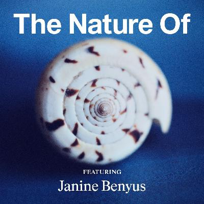 Janine Benyus on Biomimicry and Designing With Life’s Intelligence
