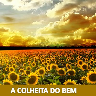 A COLHEITA DO BEM - Com Eliana Barbosa