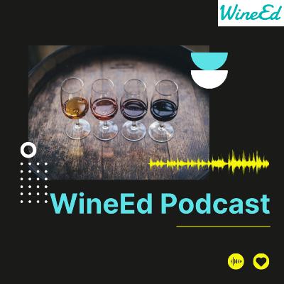 WineEd Podcast: Let's talk about Rosé Wine with Elizabeth Gabay MW WineEd Podcast: Let's talk about Rosé Wine with Elizabeth Gabay MW