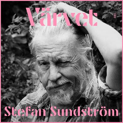 KORT Stefan Sundström: ”Det finns ett pornografiskt intresse av folks tillkortakommanden”