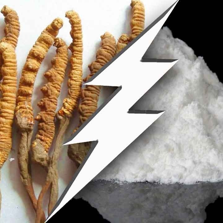 Cordyceps and Creatine ⚡ A lesser-known stack for energy and far more
