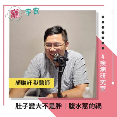 EP81《疾病研究室#31》肚子變大不是胖｜腹水惹的禍｜feat. 顏鵬軒獸醫師