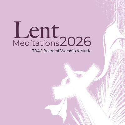 Day 4: Let Your Light Shine Day 4: Let Your Light Shine