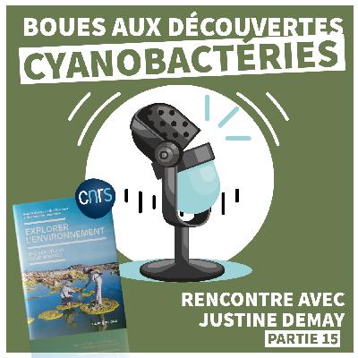 EXPLORER L'ENVIRONNEMENT | Boue aux découvertes CYANOBACTÉRIES [Épisode 15]