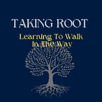 Taking Root Update