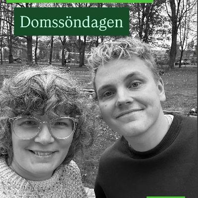 345. Domssöndagen (årg. 2)