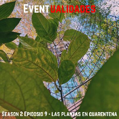 S.2 - Ep. 09 Plantas en Cuarentena