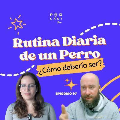 ¿Cómo debería ser la rutina diaria de un perro? - Podcast La Pata, episodio 97 ¿Cómo debería ser la rutina diaria de un perro? - Podcast La Pata, episodio 97