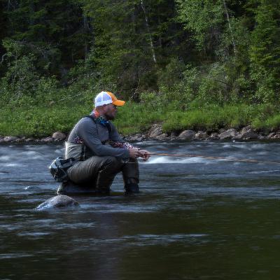 ”The black dog” ”The black dog”