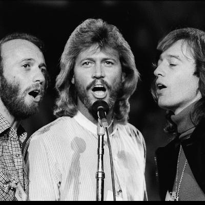 Audio Summary: Unlocking Parenting Secrets in On Becoming Baby Wise by Gary Ezzo