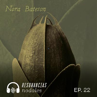 EP 22 - Patrones que conectan.