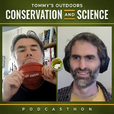 Podcasthon: IWDG and IWT