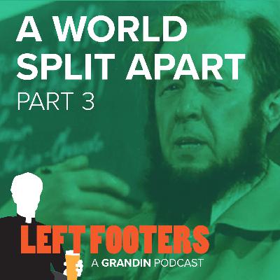 A World Split Apart (with Fr. Vincent Lusty) Part 3
