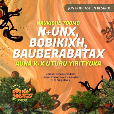 Naukiche toomo n+unx, bobikixh, bauberabatax auná k+x uturu yirityuka