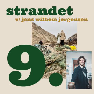Strandet - Formidling for et renere hav Strandet - Formidling for et renere hav