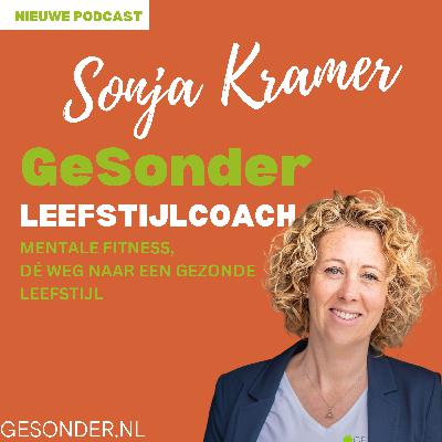 #82. Perfectionisme & Leefstijl: Waarom perfectie niet bestaat