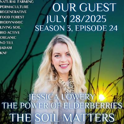 Jessica Lowery The Power of Elderberries