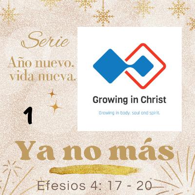 Serie: AÑO NUEVO, VIDA NUEVA. // Título: Ya no más.
