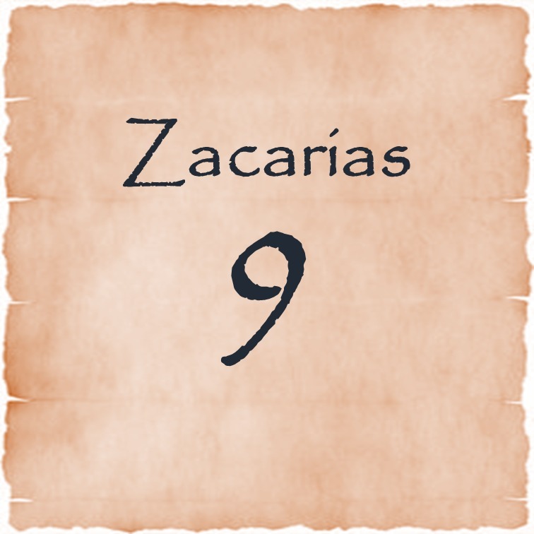 Zacarias 9 episode artwork