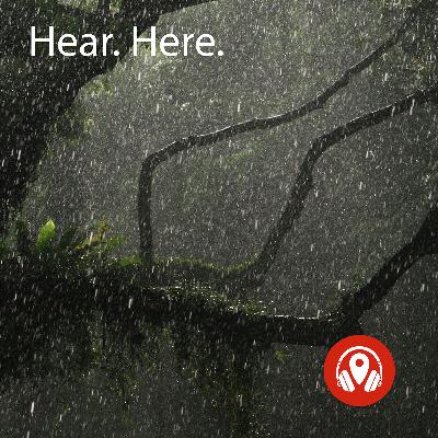 Rain, Rain, Go Away!!! Rain, Rain, Go Away!!!