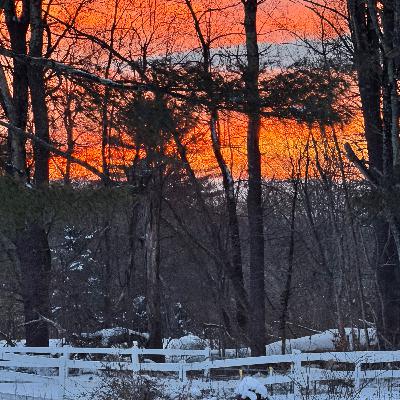 Resilience and gratitude Resilience and gratitude