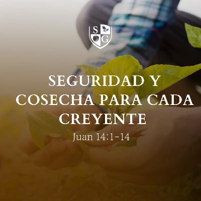 "Seguridad y cosecha para cada creyente" Juan 14:1-14 | Pr. Stephen Haines