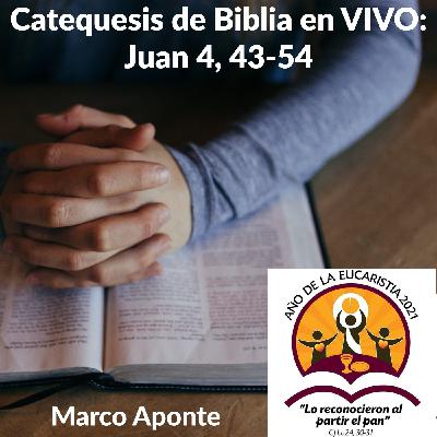 Catequesis de Biblia en VIVO: Juan 4, 43-54 — Marco Aponte