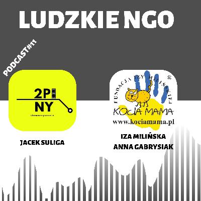#11 Podczas wojny ratowałyśmy koty z Ukrainy - Fundacja Kocia Mama