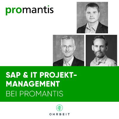 IT & SAP Projektmanagement per remote