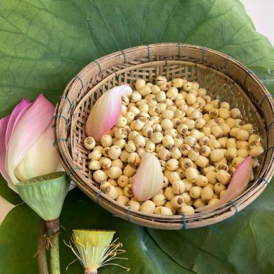 Bật Mí Top 7 Đặc Sản Đồng Tháp Được Chọn Lọc Từ Tinh Hoa Ẩm Thực Miền Tây Bật Mí Top 7 Đặc Sản Đồng Tháp Được Chọn Lọc Từ Tinh Hoa Ẩm Thực Miền Tây