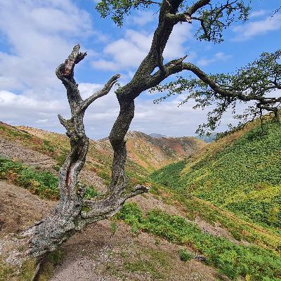 284 The wind of Long Mynd 284 The wind of Long Mynd