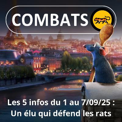 S05E05 Les 5 infos de la semaine : Un élu de Paris défend... les rats !