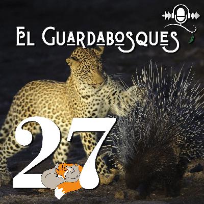 Ep. 27 | Estrategias de defensa