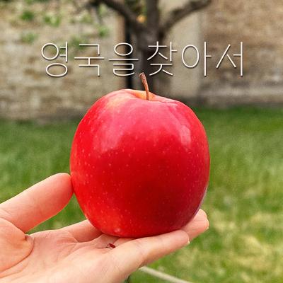 EP.8 최악의 가성비와 최고의 경험이 혼재했던 런던여행