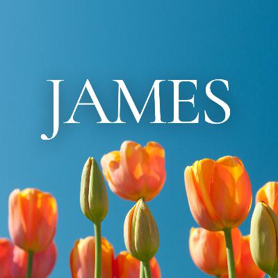 James 5:19-20//Repeat Prescription for Spiritual Health amid Trials & Suffering iii. Keep Looking Outwards to Others
