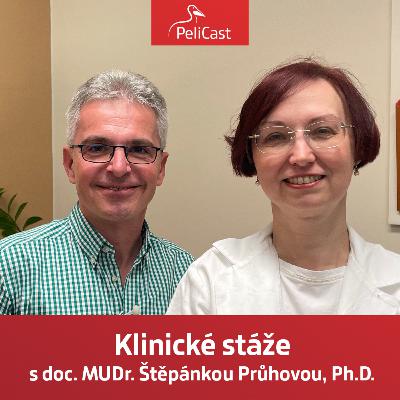 Štěpánka Průhová: Klinické stáže