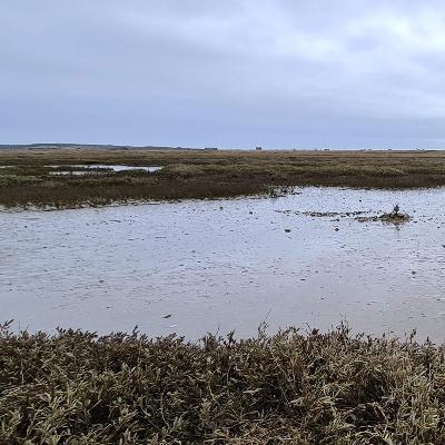 263 Wild open coastal reserve